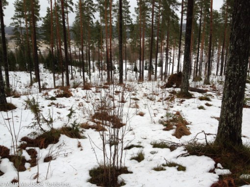 Rena mördarbacken vid 4 km