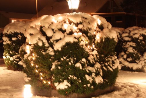 Knappt att ljusslingorna syns bland alla lampor