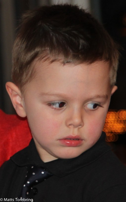 Vårt barnbarn Linus Torebring 3+.