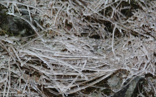 Allt frös till iskristaller