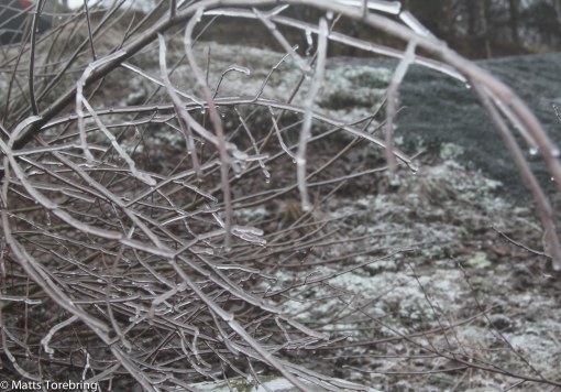Tänk om det varit solsken med alla dessa iskristaller