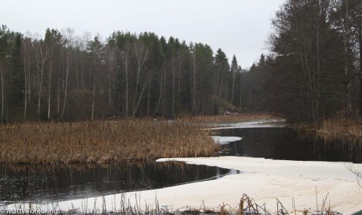 Så lugnt och stilla före dammluckorna