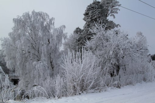 Jag åkte ned till Stalpet för att se om solen var där, nej inte där heller
