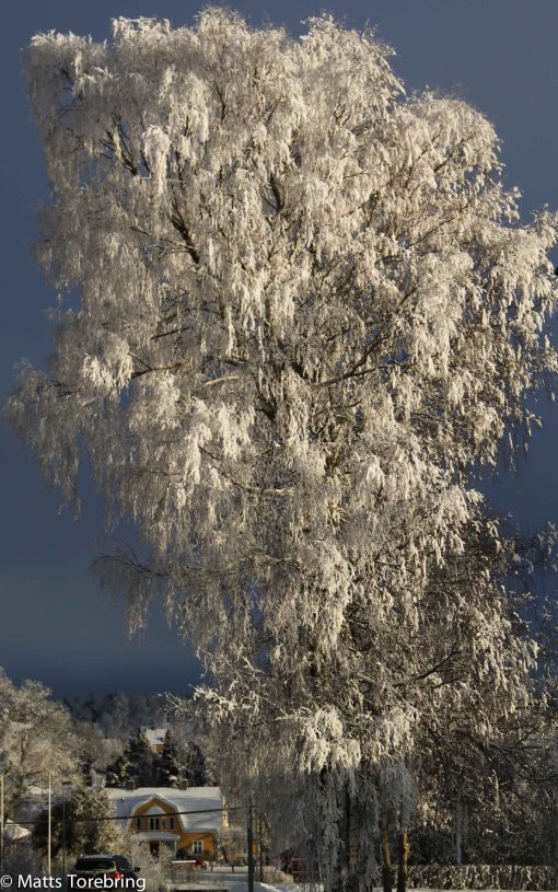 På eftermiddagen kom solen fram