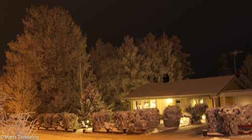 Nu är det kväll hemma och träden är så otroligt glittriga i skogen