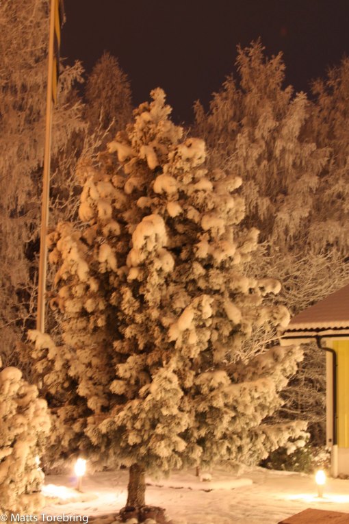 En märklig vinterklädsel av snö och rimfrost