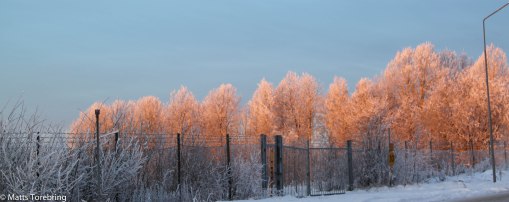 Solen lyser redan på grannens tomt