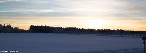 Aneby Gårds gärdet