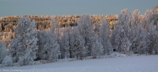Bredestaddalen utanför Aneby
