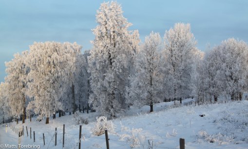 Stalpabacken ned från Blå Grindar