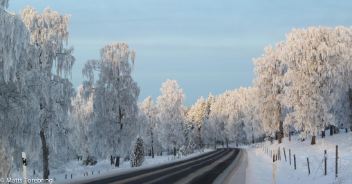 Stalpabacken ned från Blå Grindar
