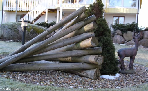 En av mina första inkomster i livet var att barka massaved.