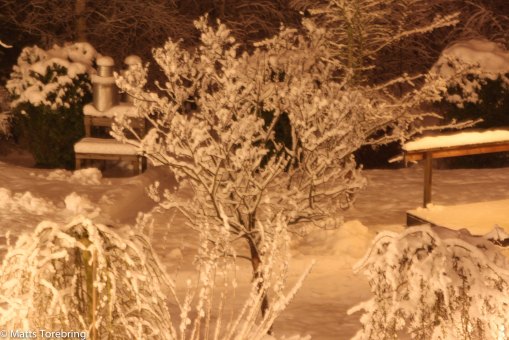 Jag gick ut i bara pyamasen på balkongen innan sovdags.