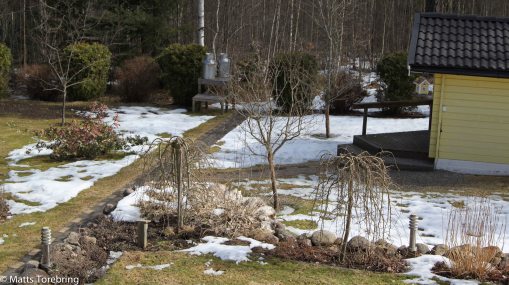 Marken har varit och är bottenfrusen.