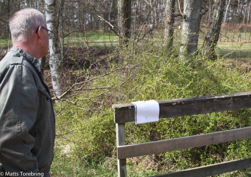 Tipspromenaden på eftermiddagen finns alltid med.