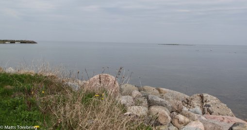 Vi vaknade kl. 9.30 till en lugn och stilla fredagsmorgon