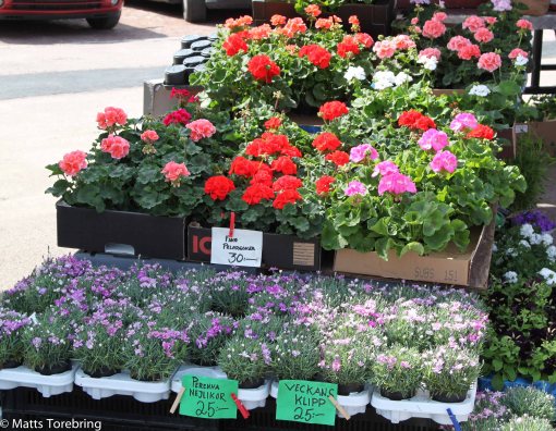 Torghandeln "blomstrade"