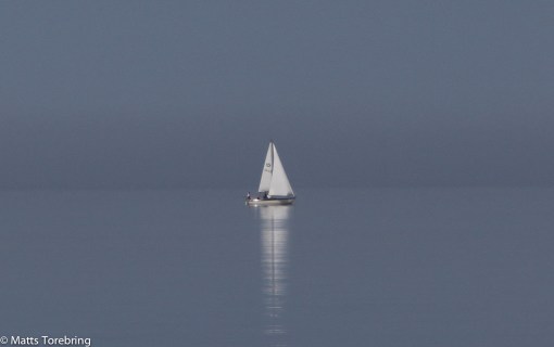 När vi kom hem och fikade var det lika lugnt