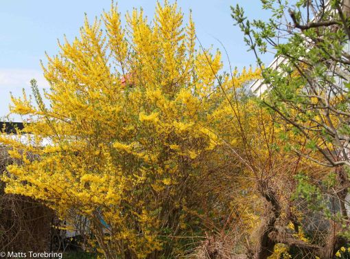 Dags för tipsrunda, börja på Slottsgatan och gå till Slottsruinen