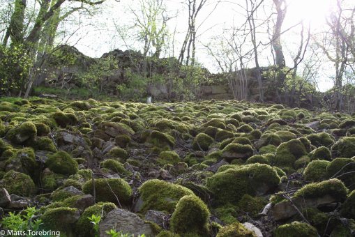 En stenröse upp mot Slottsruinen
