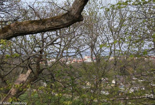 Utsikt från trapporna upp till Slottsruinen