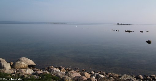 Idag vaknade jag redan klockan åtta och drog upp rullgardinen...