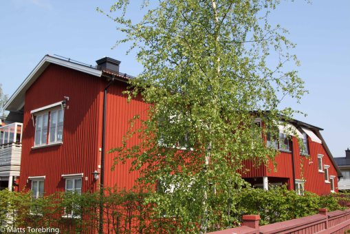 Jag hade ett par småsaker jag ville handla på stan.