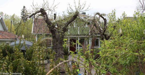 Ytterligare en idyll.