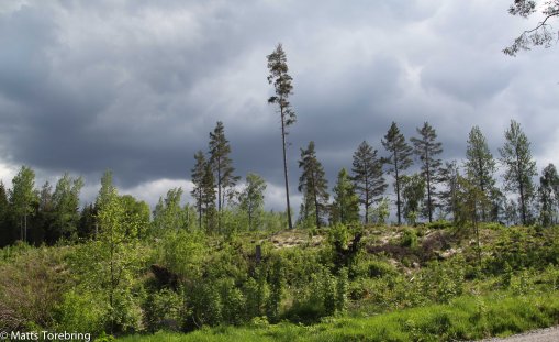Solen var ganska nyckfull och molnen kom och gick
