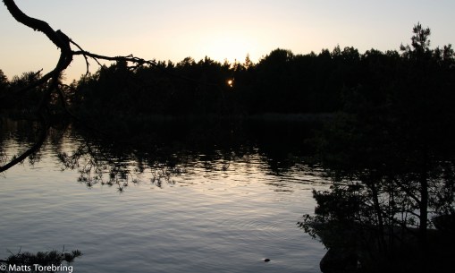 Solen tackar för sig, mellan trädtopparna, för denna dag