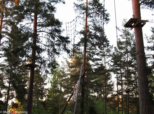 Ävertyr på höga höjder är det gott om.