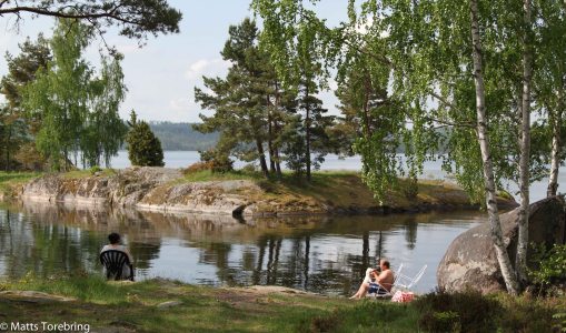 Jag gick ned till strandkanten och spanade in lite