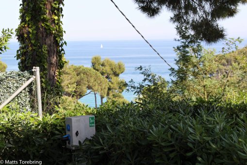 Här sticker elstolpen fram i hörnet till vår tomt