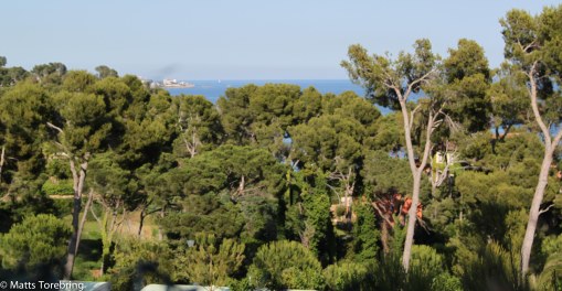 Utsikt åt norr från vår tomt