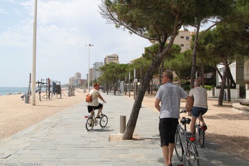 Nu är stränderna raka enehanda igen.