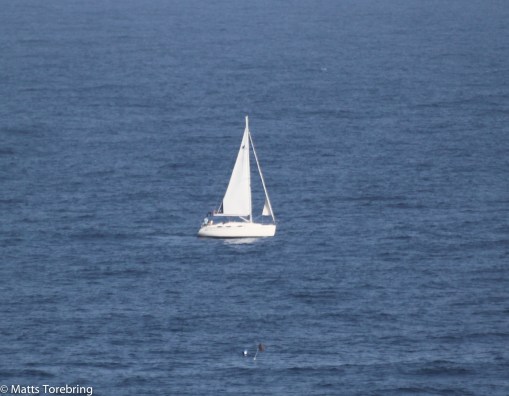 Det blev att sitta hemma och läsa en bok idag
