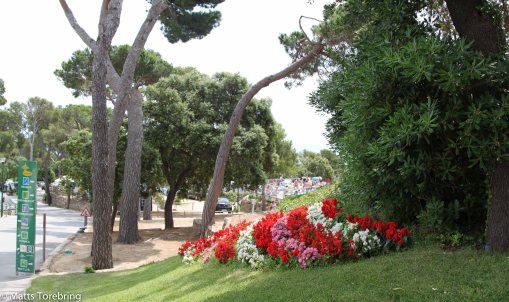 Helt otroligt välskött överallt, finns inte minsta smuts någonstans