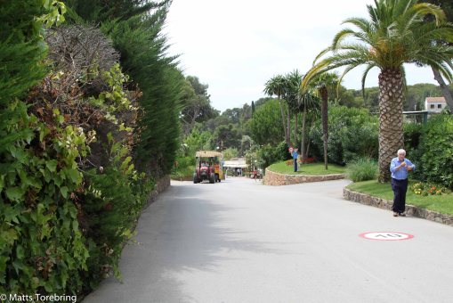 Här kommer traktorn med ett gäng frusna badare.