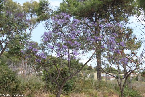 I takt med det kylslagna vädret gick vi intill city.