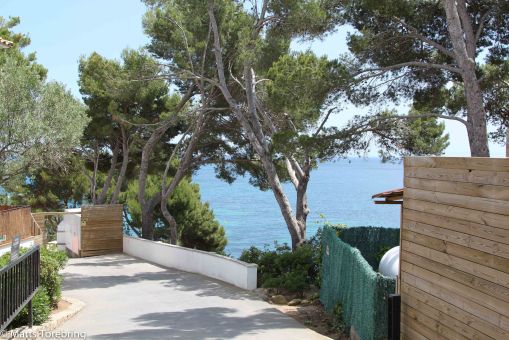 Mitt emot huset ser det betydligt vackrare ut.