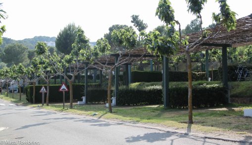 Här har det varit full beläggning tidigare