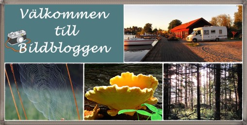 Anki & Lasse kom på besök.