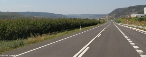 Landskapet går över i fruktodlingar.