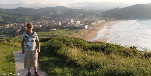 Här nere ligger brachen