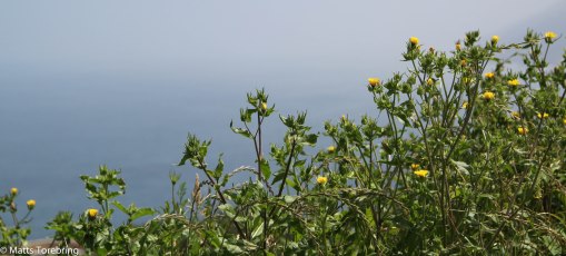 Himmel och hav möts i horisonten.
