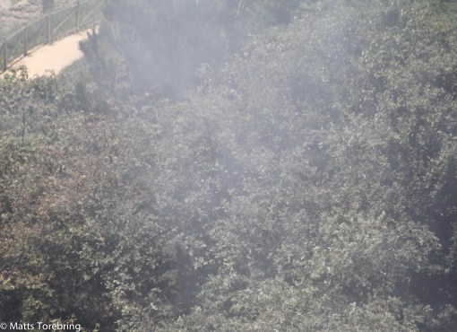 Hela campingen låg inhöljd i branrök i par timmar