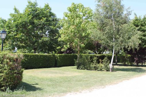 Campingtomterna står tomma de flesta av dem