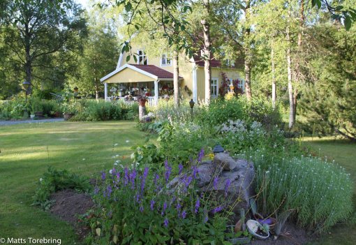 Här bor Christer & Anita i en minst sagt praktfull trädgård full av blommor