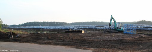 Torvmossen som de hämtar sitt bruna guld i.