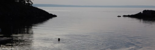 Ett underbart rent och klart vatten i Vättern